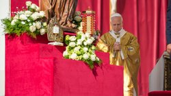 AP_25250310741697_64409fce59