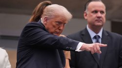 AP_25250690413736_8d8547474f