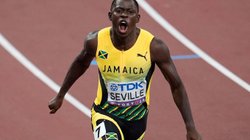 AP_25257493272079_f51223ff9e