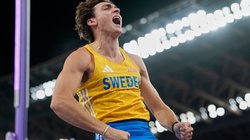 AP_25258498187375_66518ed3d6