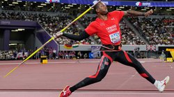 AP_25261624267916_f7f201e515