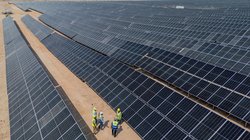 AP_25264096010042_8386e8f6dc