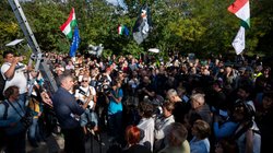 AP_25270745929131_a8025e29f2