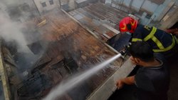 AP_25288057879296_0e0c83ee9b