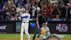 AP_25291133937740_7aa656e1ab