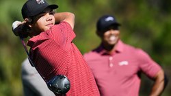 AP_25309847751009_d328af7ee7