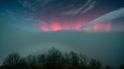 AP_25316565414633_1_fe4f39244f