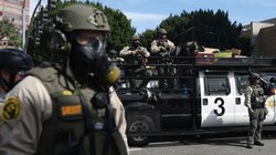 AP_25322032048184_ad36b972c6