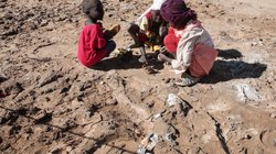 AP_25326491480306_0d1be9be1d