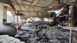 AP_25341259440125_ccc0be7296