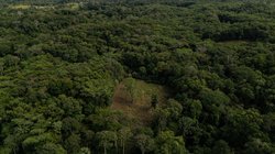 AP_25357097441666_d7ea95674e