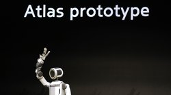 AP_26005848763124_f7da310d58