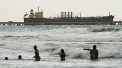 AP_26009673300233_a5ae472836