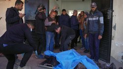 AP_26041410637901_b1ddbf5121