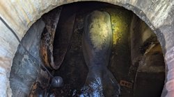 AP_26042823946478_b05ebb846e