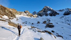 AP_26051492886987_30cdd0e556