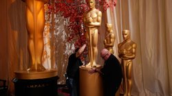 AP_26073836907281_332e6b1295