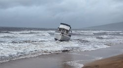 AP_26074713275342_79e6c6fc14