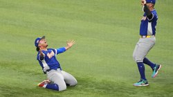 AP_26077108437131_c496193532