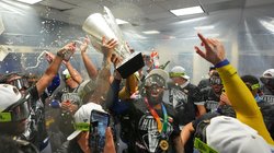 AP_26078859399389_2d364c174d