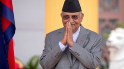 AP_26087105675030_d8811e4206