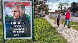 AP_26099646958035_8693f9a0d2