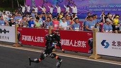 AP_26109192429054_368032a6de