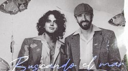 AP_26111515986777_d2e5f6f151