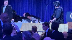 AP_26116032358923_1_ec8024fe99