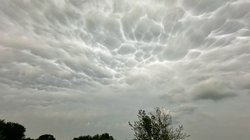 AP_26116788684701_110107351d