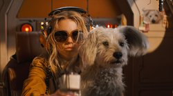 AP_26117715161722_f8c884f034