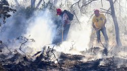 Arteaga_cierra_2025_con_incendio_forestal_casi_sofocado_1dea798962