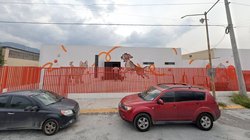 Bienestar_Animal_Santa_Catarnia_685b9d76a4