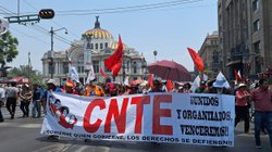 CNTE_8709e47ae5