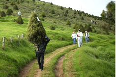 Captura_de_pantalla_2025_12_08_a_la_s_8_40_36_p_m_3ffcc542a1