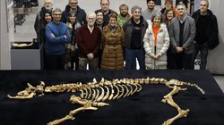 Captura_de_pantalla_2026_02_09_a_la_s_8_25_10_p_m_dfebaaf939