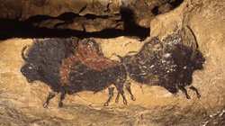 Captura_de_pantalla_2026_03_10_a_la_s_1_12_48_a_m_e8ee2da4af