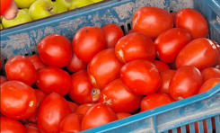 Captura_de_pantalla_2026_04_15_233842_d3a8bb7415