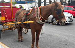 Captura_de_pantalla_2026_04_19_181010_afd20e6a07