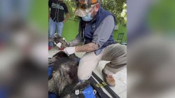 Copia_de_Copy_of_PLANTILLAS_WEB_DIC_1_7b5d8c8916