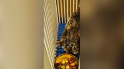 Copia_de_Copy_of_PLANTILLAS_WEB_DIC_5_c614e6040b