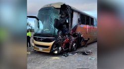 Copia_de_Copy_of_PLANTILLAS_WEB_DIC_b8b0dca5a4