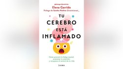Copia_de_Copy_of_PLANTILLAS_WEB_DIC_be888f9c12