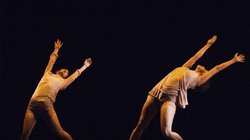 Dia_Danza3_582088b7fe