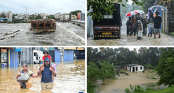 EH_COLLAGE_20_dd5a421817