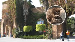 EH_CONTEXTO_11_8ce8629477