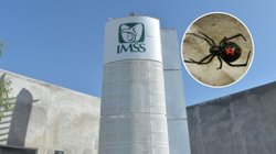 EH_CONTEXTO_2025_11_16_T150604_848_8fcfd3a6fb