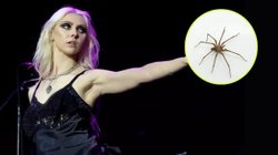 EH_CONTEXTO_27_e4e24c0e24