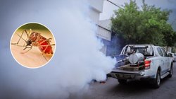 EH_CONTEXTO_7068520246