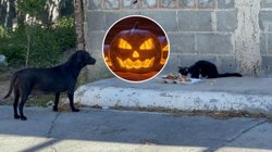 EH_CONTEXTO_ca541875c0